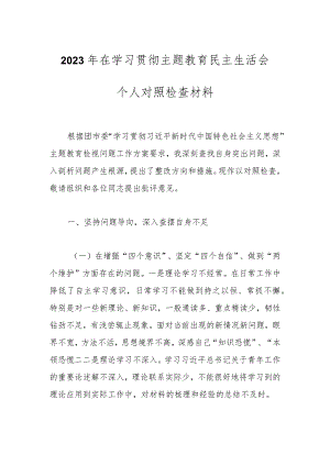 2023年在学习贯彻主题教育民主生活会个人对照检查材料.docx
