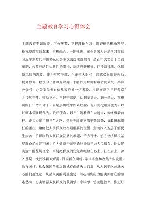 主题教育学习心得体会.docx