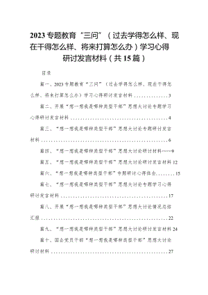 专题教育“三问”（过去学得怎么样、现在干得怎么样、将来打算怎么办）学习心得研讨发言材料范文精选(15篇).docx