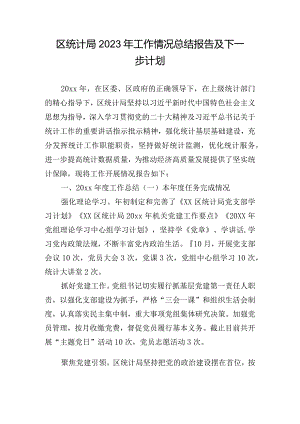 区统计局2023年工作情况总结报告及下一步计划.docx