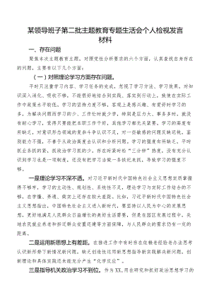 某领导班子第二批专题教育专题生活会个人检视发言材料.docx