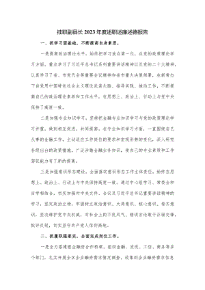 挂职副县长2023年度述职述廉述德报告.docx