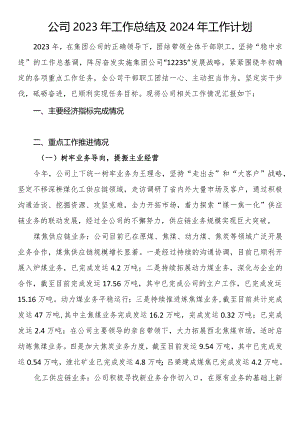 公司2023年工作总结及2024年工作计划.docx