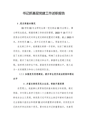 书记抓基层党建工作述职报告.docx