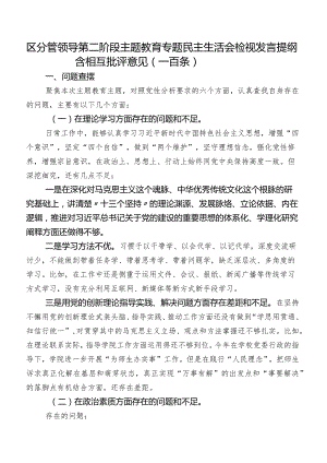 区分管领导第二阶段专题教育专题民主生活会检视发言提纲含相互批评意见（一百条）.docx