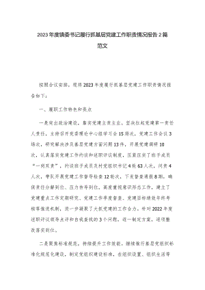 2023年度镇委书记履行抓基层党建工作职责情况报告2篇范文.docx