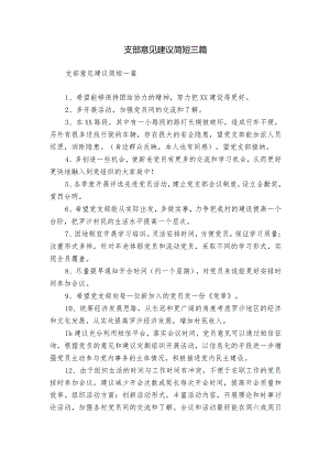 支部意见建议简短三篇.docx