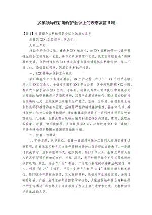 乡镇领导在耕地保护会议上的表态发言6篇.docx