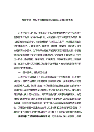 专题党课：贯彻主题教育精神+扬青年风采+谱无悔青春.docx