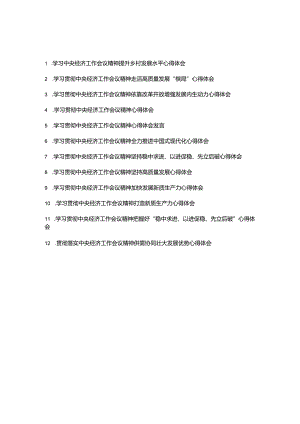 学习贯彻中央经济工作会议精神心得体会发言12篇.docx