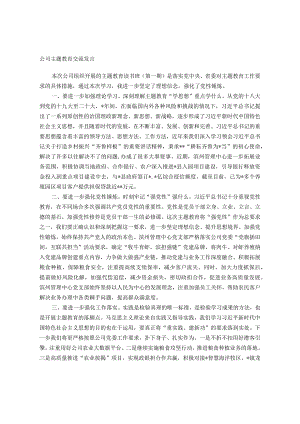 公司主题教育交流发言.docx