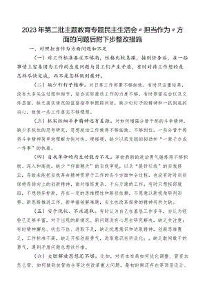 2023年第二批专题教育专题民主生活会“担当作为”方面的问题后附下步整改措施.docx