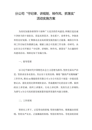分公司“守纪律、讲规矩、转作风、抓落实”活动实施方案.docx