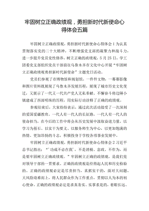 牢固树立正确政绩观勇担新时代新使命心得体会五篇.docx