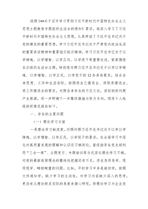 国企董事长2023年度教育专题组织生活个人检查材料.docx