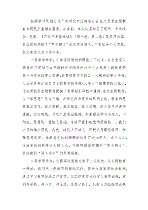 2023年度第二批主题教育学习研讨发言提纲范文两篇.docx