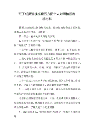 班子成员巡视巡查五方面个人对照检视剖析材料.docx