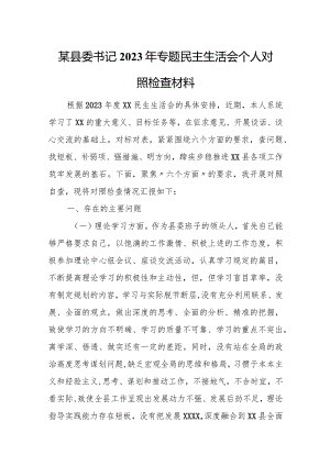 某县委书记2023年专题民主生活会个人对照检查材料.docx