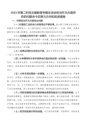 2023年第二阶段专题教育专题生活会担当作为方面存在的问题含今后努力方向和改进措施.docx