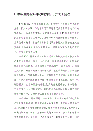 叶牛平主持召开市政府党组.docx