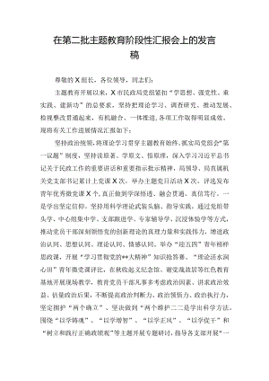 在第二批主题教育阶段性汇报会上的发言稿.docx