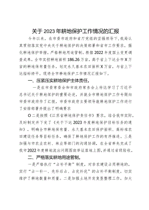 关于2023年耕地保护工作情况的汇报.docx