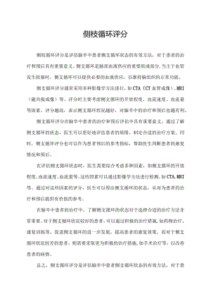 侧枝循环评分.docx