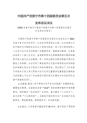 中国共产党普宁市第十四届委员会第五次全体会议决议.docx