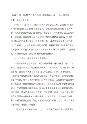 2023年第一批主题教育工作总结（自查报告）及下一步工作思路.docx