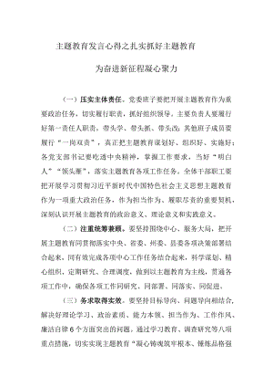 主题教育发言心得之扎实抓好主题教育 为奋进新征程凝心聚力.docx