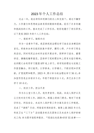 2023年个人工作总结.docx