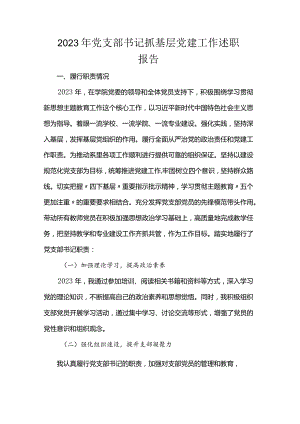 2023年党支部书记抓基层党建工作述职报告.docx