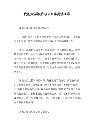 我的大学读后感200字简洁4章.docx