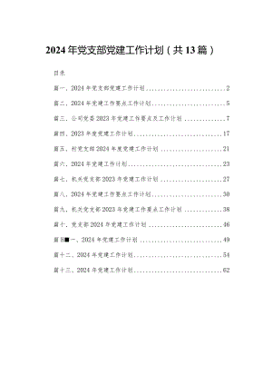 2023年党支部党建工作计划（共13篇）.docx