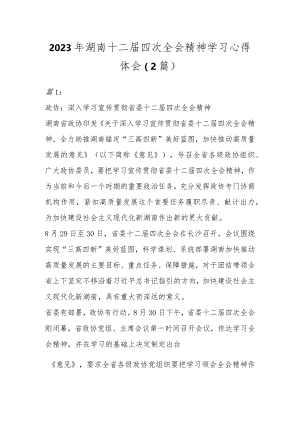2023年湖南十二届四次全会精神学习心得体会（2篇）.docx
