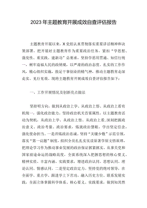 2023年主题教育开展成效自查评估报告.docx