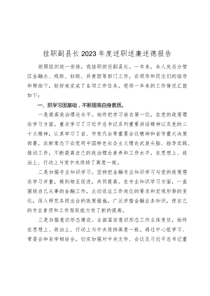 挂职副县长2023-2024年度述职述廉述德报告.docx