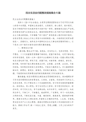 民主生活会问题整改措施集合6篇.docx