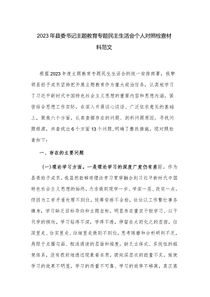 2023年县委书记主题教育专题民主生活会个人对照检查材料范文.docx