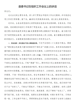 县委书记在组织工作会议上的讲话.docx