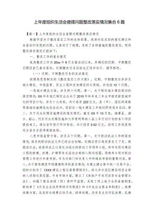 上年度组织生活会查摆问题整改落实情况集合6篇.docx