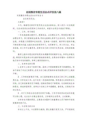 巡视整改专题生活会点评发言八篇.docx