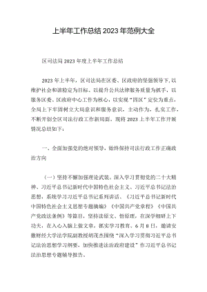 上半年工作总结2023年范例大全.docx