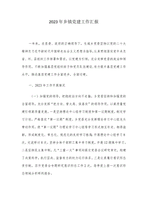 2023年乡镇党建工作汇报.docx