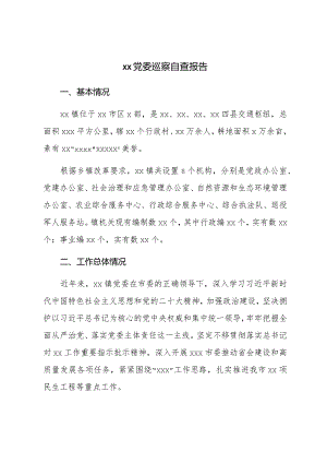 XX党委巡察自查报告.docx