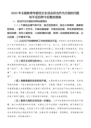 2023年学习教育专题民主生活会担当作为方面的问题和不足后附今后整改措施.docx
