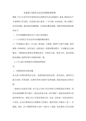 支部班子组织生活会对照检查材料.docx