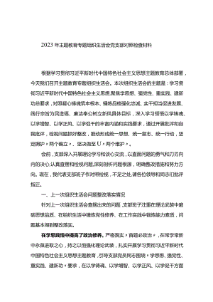 2023年主题教育专题组织生活会党支部对照检查材料.docx