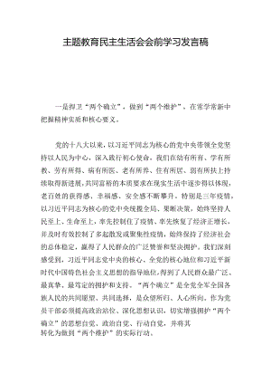 主题教育民主生活会会前学习发言稿.docx