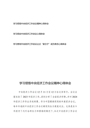 学习领悟中央经济工作会议精神心得体会3篇.docx
